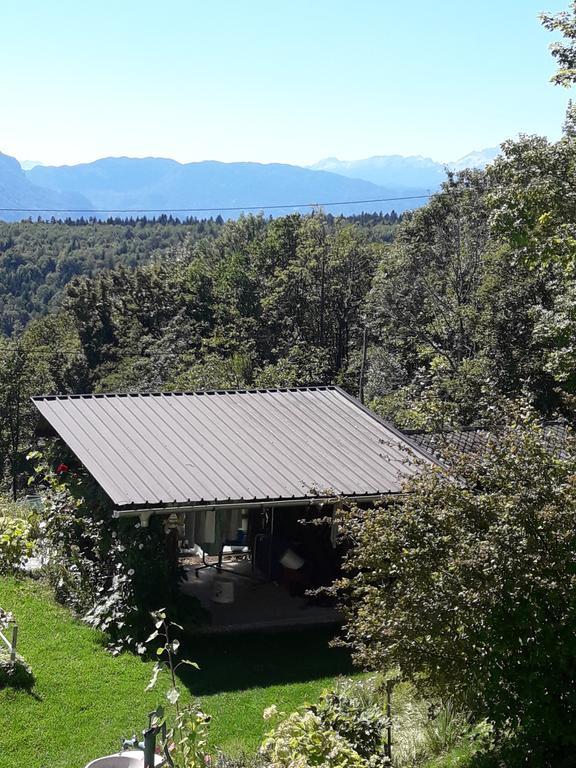 Sirovnik Apartment Begunje na Gorenjskem Eksteriør bilde